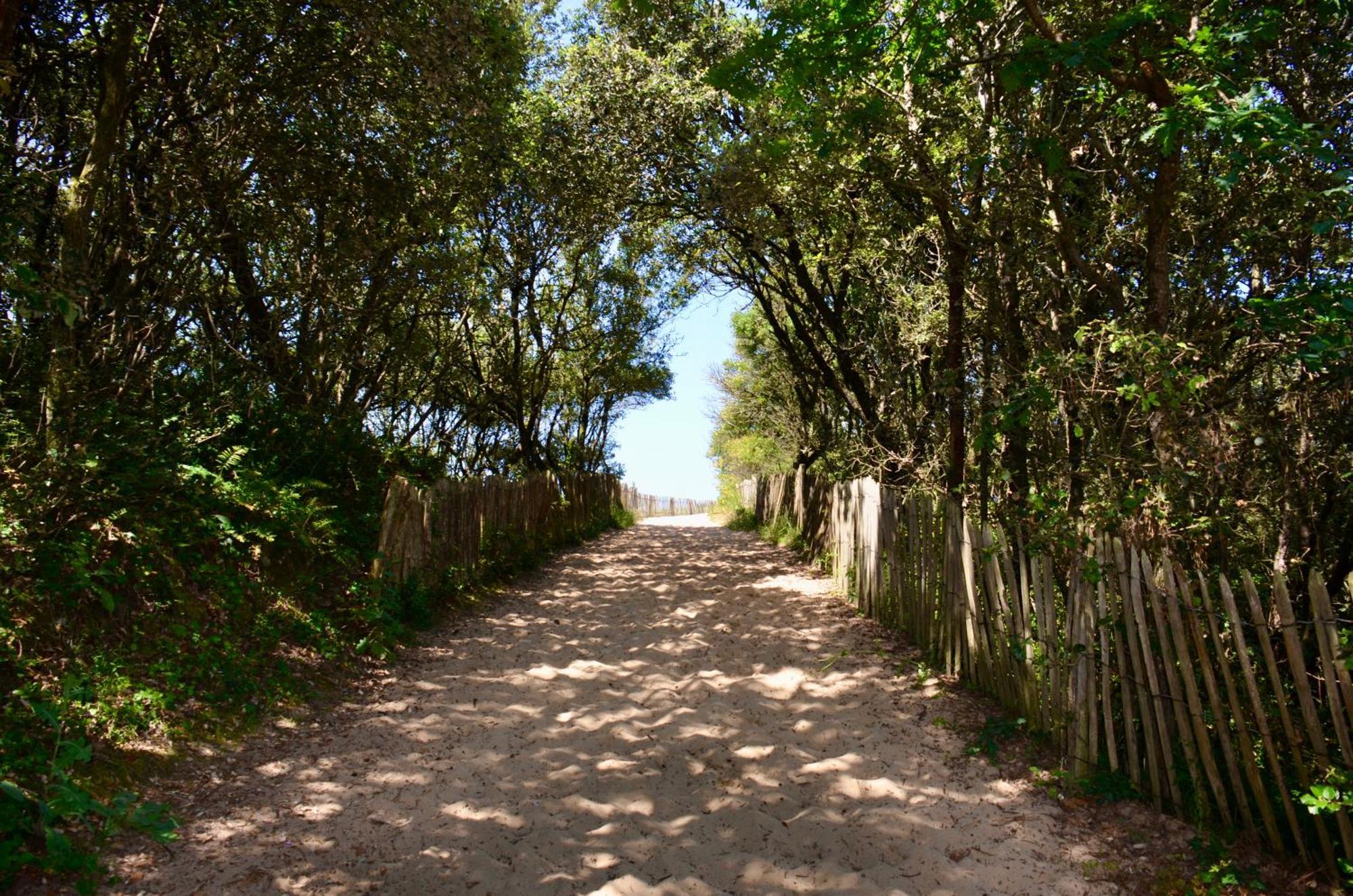 Camping Le Clos Des Pins Longeville-sur-Mer Exterior photo